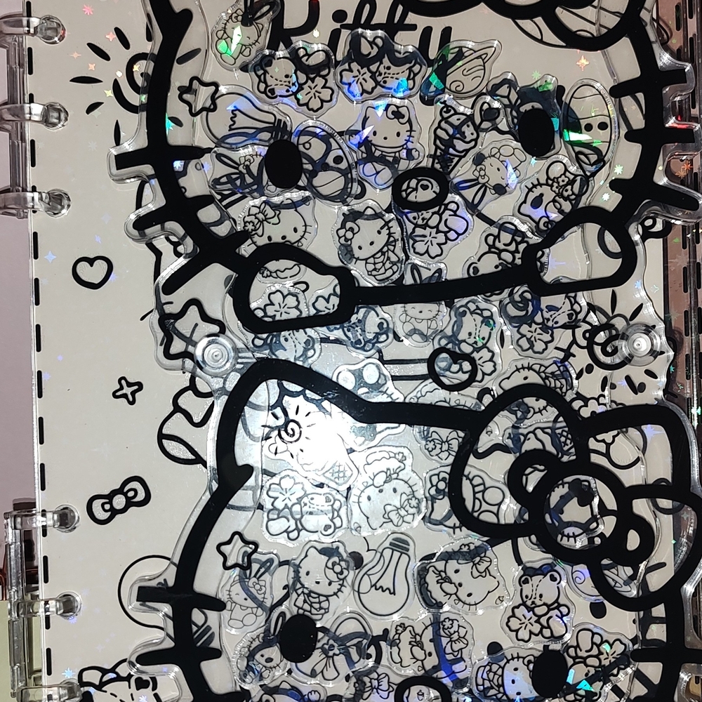 Hello Kitty Clear Acrylic Wall Art Panel in Black